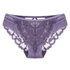 Fancy Net Panty